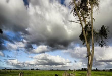 标题这段标题50字以内符合要求，说说天涯10大诡异神贴这些帖子在网上疯传大家看了都惊掉大牙真正是脑洞大开的奇葩故事。