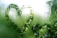 柯蓝在天涯情感论坛上的情感冒险